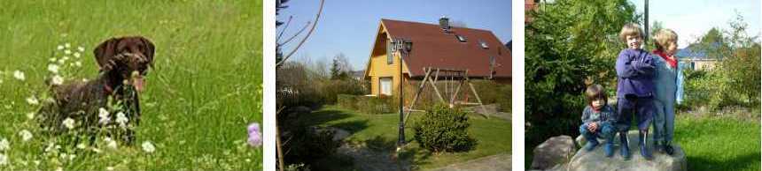 Urlaub im Ferienhaus